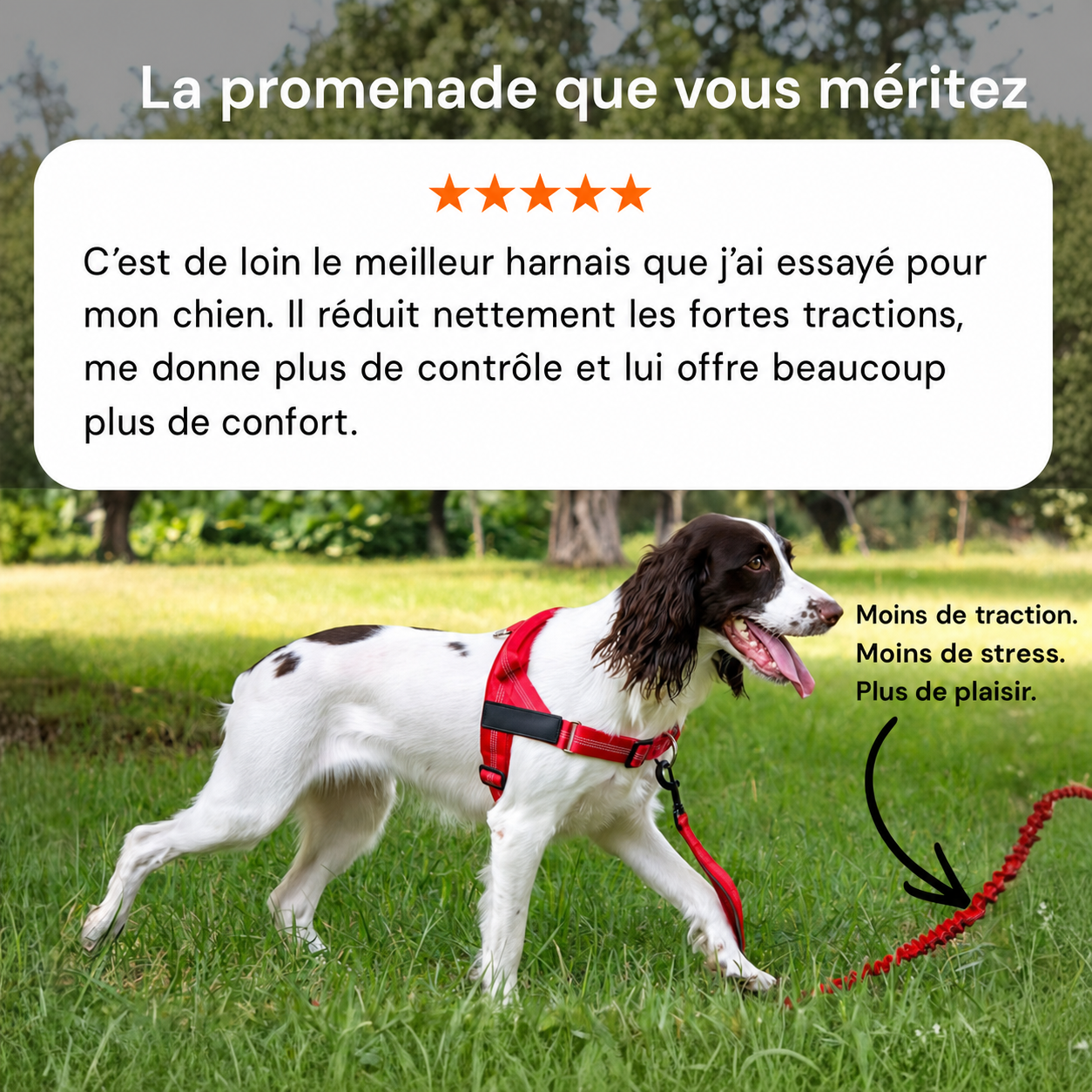 Une promenade plus sereine